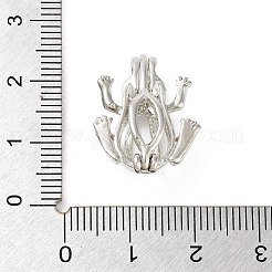 Anhänger aus Legierungsperlenkäfig&nbsp;LS-FIND-M012-01P-P