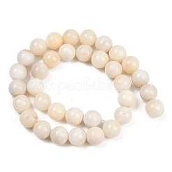 Бусины из натурального белого нефрита G-F792-C01-02