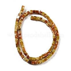 Бисер натуральный дракон крови пряди G-E071-C01