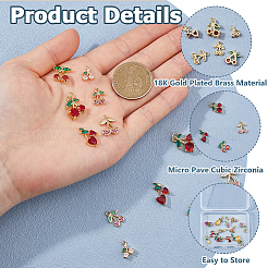 12 pieza de 6 estilos de dijes de circonita cúbica dorada con micropavé de latón&nbsp;ZIRC-HS0001-25B-NF