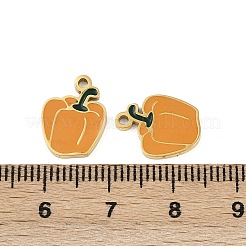 Овощи 304 нержавеющая сталь эмалированные подвески&nbsp;STAS-C137-02E-G