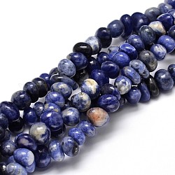 Sodalita naturales hebras pepitas de piedras preciosas perlas, 6~10x9~12x8~10mm, agujero: 1 mm, aproximadamente 15.3 pulgada ~ 15.7 pulgadas