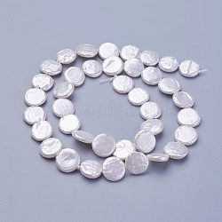 Chapelets de perles de coquille, plat rond, neige, 10~13.5x2.5~3mm, Trou: 0.5mm, Environ 29~32 pcs/chapelet, 15.55 pouce ~ 15.94 pouces (39.5~40.5 cm)