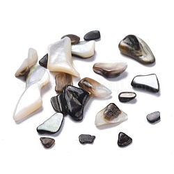 Perles de lèvre noire en coquillage naturel , tessons shell, pas de trous / non percés, puces, couleur mixte, 2.5~19.5x2.5~8mm