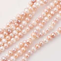 Hebras de perlas de agua dulce cultivadas naturales de grado aa, oval, peachpuff, 7~8x6~7mm, agujero: 0.5 mm, aproximamente 56~57 pcs / cadena, 15.7 pulgada (40 cm)