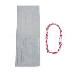 Paper Tassel Banner, with Cotton Cord, Silver, 335mm