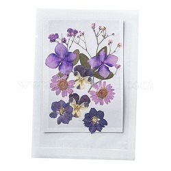 Pressed Dried Flowers, for Cellphone, Photo Frame, Scrapbooking DIY and Resin Art Floral Decors, 120x85x0.3mm