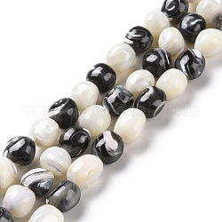 Naturelles trochides coquille brins de perles, mélangé teint et non teint, ronde, blanc, noir, 8~9x7.5~9.5x7.5~9.5mm, Trou: 0.8mm, Environ 45 pcs/chapelet, 15.35~15.55 pouce (39~39.5 cm)