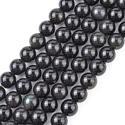 Obsidienne naturelle perles brins, ronde, 8~9mm, Trou: 1mm, Environ 46 pcs/chapelet, 15.3 pouce