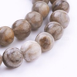 Chapelets de perles de feuille d'argent en jaspe naturel, ronde, 8mm, Trou: 1mm, Environ 50 pcs/chapelet, 15.7 pouce (40 cm)