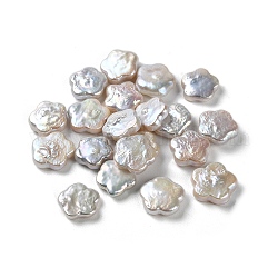 Perle naturali di perle d'acqua dolce coltivate con perle keshi, Senza Buco, perle barocche, fiore, fumo bianco, 10.5~11.5x10.5~11.5x2.5~3mm