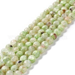Fili di perle sintetiche di fluorite verde e selenite assemblate, tondo, 8mm, Foro: 1.2 mm, circa 50pcs/filo, 15.94'' (40.5 cm)