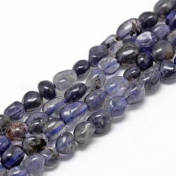 Natural Cordierite/Iolite/Dichroite Beads Strands, Oval, 6~10x4~7x4~7mm, Hole: 1mm, about 43~62pcs/strand, 15.7 inch