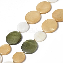 Brins de perles de coquille d'eau douce naturelles peintes par pulvérisation, avec pointes de perles en alliage, plat rond, couleur mixte, 20x3 & mm 15~15.5x2.5~3 mm, Trou: 1mm, Environ 24 pcs/chapelet, 18.07 pouce (45.9 cm)