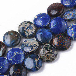 Brins de perles de jaspe impérial naturel, teinte, plat rond, bleu, 14x6mm, Trou: 1.2mm, Environ 29 pcs/chapelet, 15.94 pouce (40.5 cm)