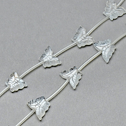 Natural Quartz Crystal Beads Strands, Rock Crystal Beads, Butterfly, 10~13x13~17x3~5mm, Hole: 0.5~1mm, about 14pcs/strand, 15.55 inch