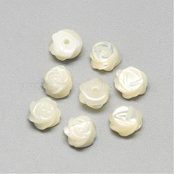 Cabochons en coquille de nacre blanche naturelle, fleur, couleur de coquillage, 7x4mm