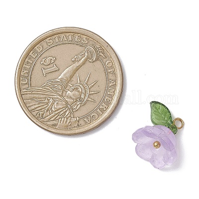 5 шт. подвесок ручной работы из акрила и лэмпворка PALLOY-TA00364-1