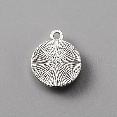 Пластиковые подвески FIND-WH0110-272C-AS-1