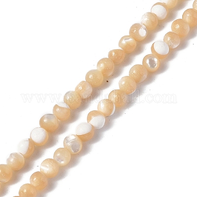 Wholesale Natural Trochid Shell/Trochus Shell Beads Strands