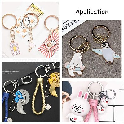 Разъемные брелоки из нержавеющей стали 304 STAS-PH0002-22P-1