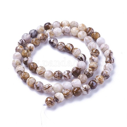 Chapelets de perles en bois pétrifié amérique naturelle G-P430-15-B-1