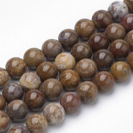 Chapelets de perles en bois pétrifié naturel G-Q462-136-10mm-1