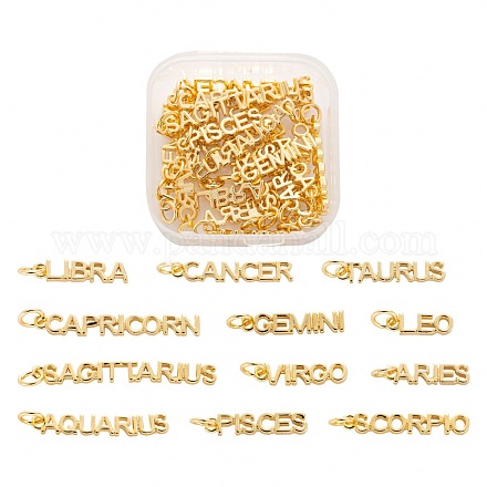 24pcs 12 pendentifs en laiton doré de style KK-LS0001-45-1