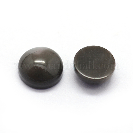 Cabochons en coquille BSHE-E566-01-5mm-1
