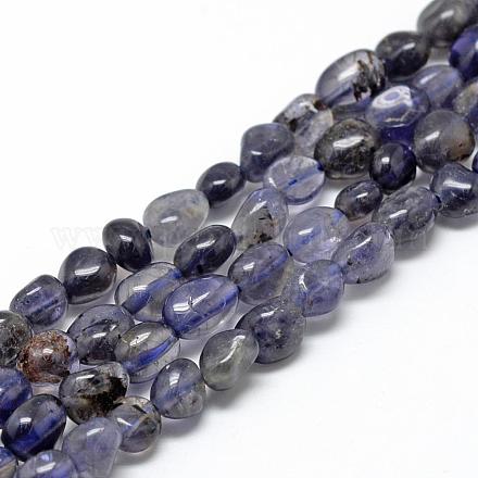 Chapelets de perles en cordiérite naturelle/Iolite/Dichroite G-R445-6x8-33-1