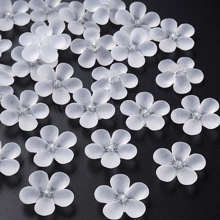 Perles en acrylique transparente MACR-S373-116-D01-1