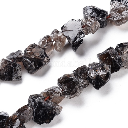 Natural Smoky Quartz Beads Strands G-I283-D01-1