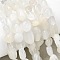 Natural White Moonstone Beads Strands, Nuggets, Tumbled Stone, 5~9x5~8.5x3~6mm, Hole: 0.8~0.9mm, about 31pcs/strand, 7.87''(20cm)
