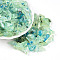Transparent Acrylic Beads, Nuggets, Two Tone, Pale Green, 11~21x7~12x6~8mm, Hole: 2mm, about 769pcs/500g