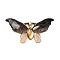 Gradient Color Resin Pendants, With Golden Iron Findings, Butterfly, Black, 26x50.5x3.5mm, Hole: 1.5mm