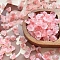 Lampwork Beads, Flower, Salmon, 12x8mm, 30pcs/set