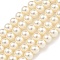 Glass Pearl Beads Strands, Round, Bisque, 3mm, Hole: 0.5mm, about 126pcs/strand, 16.06''(40.8cm)