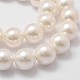 Cuentas perlas de concha de perla X-BSHE-L026-03-14mm-3