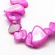 Chapelets de perles de coquille d'eau douce naturelle teinte SHEL-J002-07-3