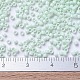 MIYUKI Delica Beads SEED-J020-DB1496-4