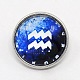 Platinum Plated Brass Glass Flat Round with Blue Constellation/Zodiac Sign Jewelry Snap Buttons SNAP-M034-B-02-1