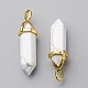 Natural Howlite Double Terminated Pointed Pendants X-G-G902-B21-3