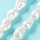 Perles de perles de coquille galvanoplastie BSHE-G035-01A-05-2