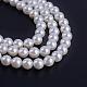 Chapelets de perles de coquille BSHE-Q028-4mm-01-1