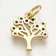Brass Micro Pave Cubic Zirconia Charms ZIRC-S061-56G-2
