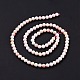Natural Shell Beads SSHEL-G026-01A-4