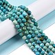 Chapelets de perles en turquoise de HuBei naturelle G-C009-A15-2
