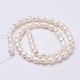 Natural Cultured Freshwater Pearl Beads Strands PEAR-P002-43-2