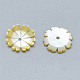 Perles de coquillage jaune SSHEL-S260-071-2