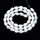 Chapelets de perles de coquille de trochid / trochus coquille SSHEL-S266-022-2